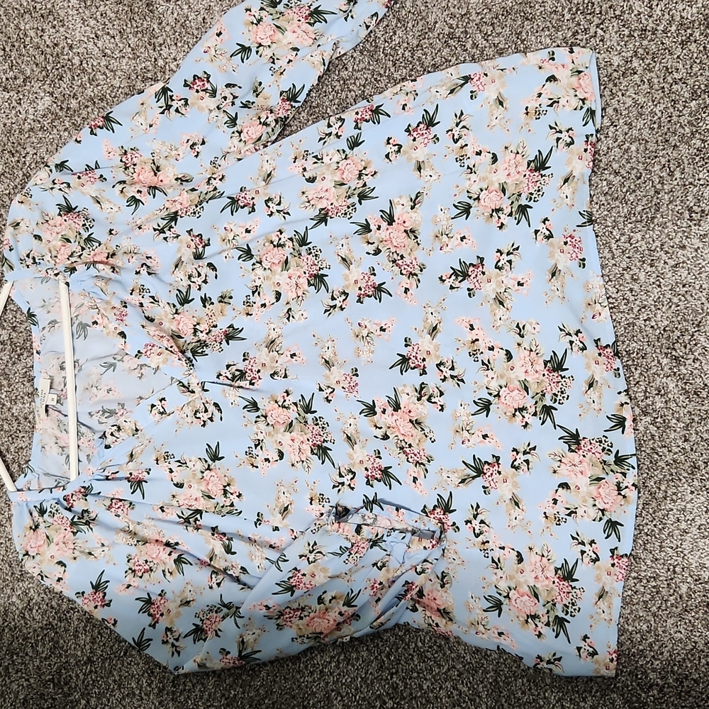 MARINA LUNA BLUE/PINK COTTAGE CORE FLORAL BLOUSE 1X... PRETTY